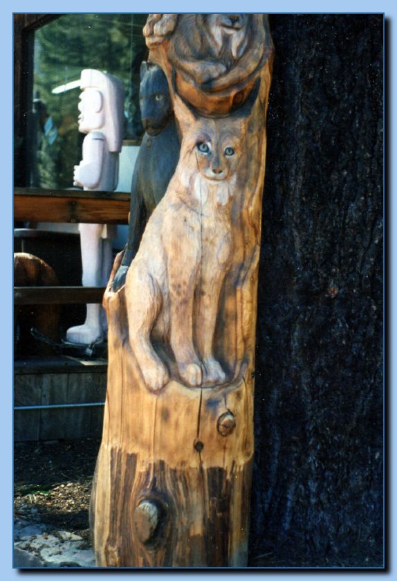 2 087 Totem Non Traditional Feline Pole Archive 011